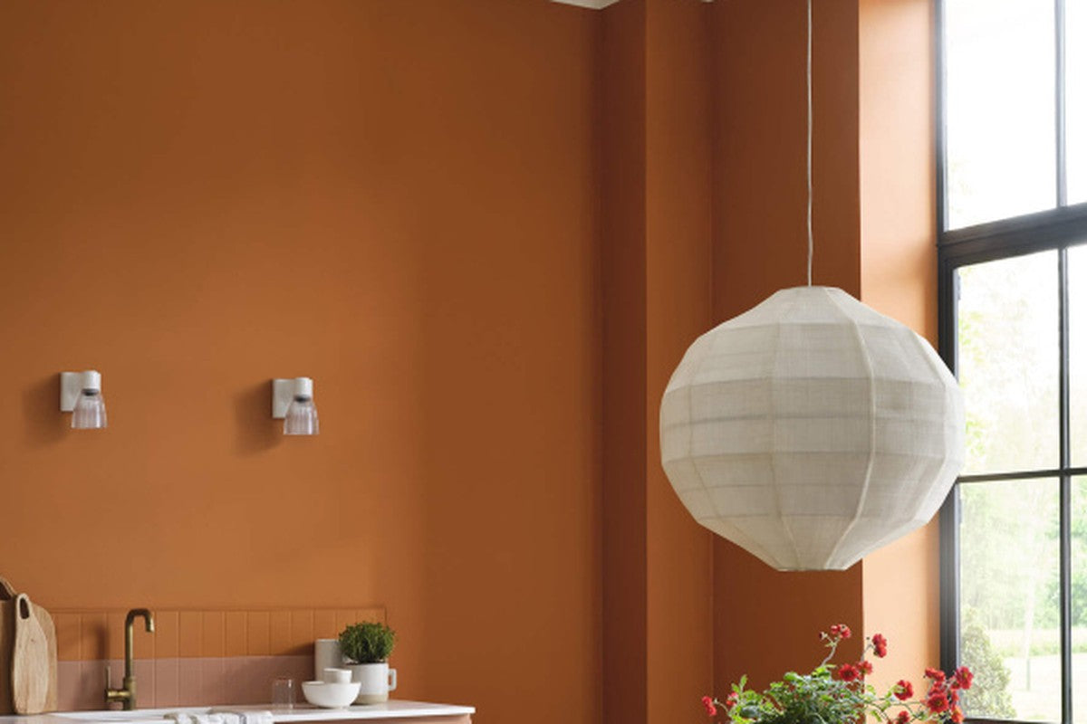 Premium designer paint interior inspiration