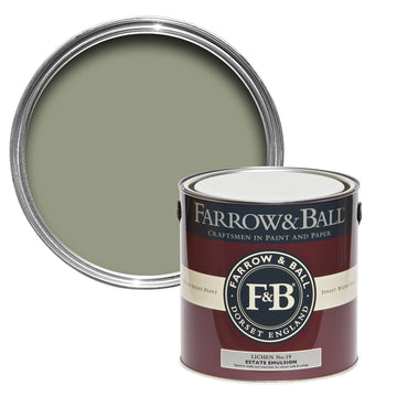 Farrow & Ball Lichen 19