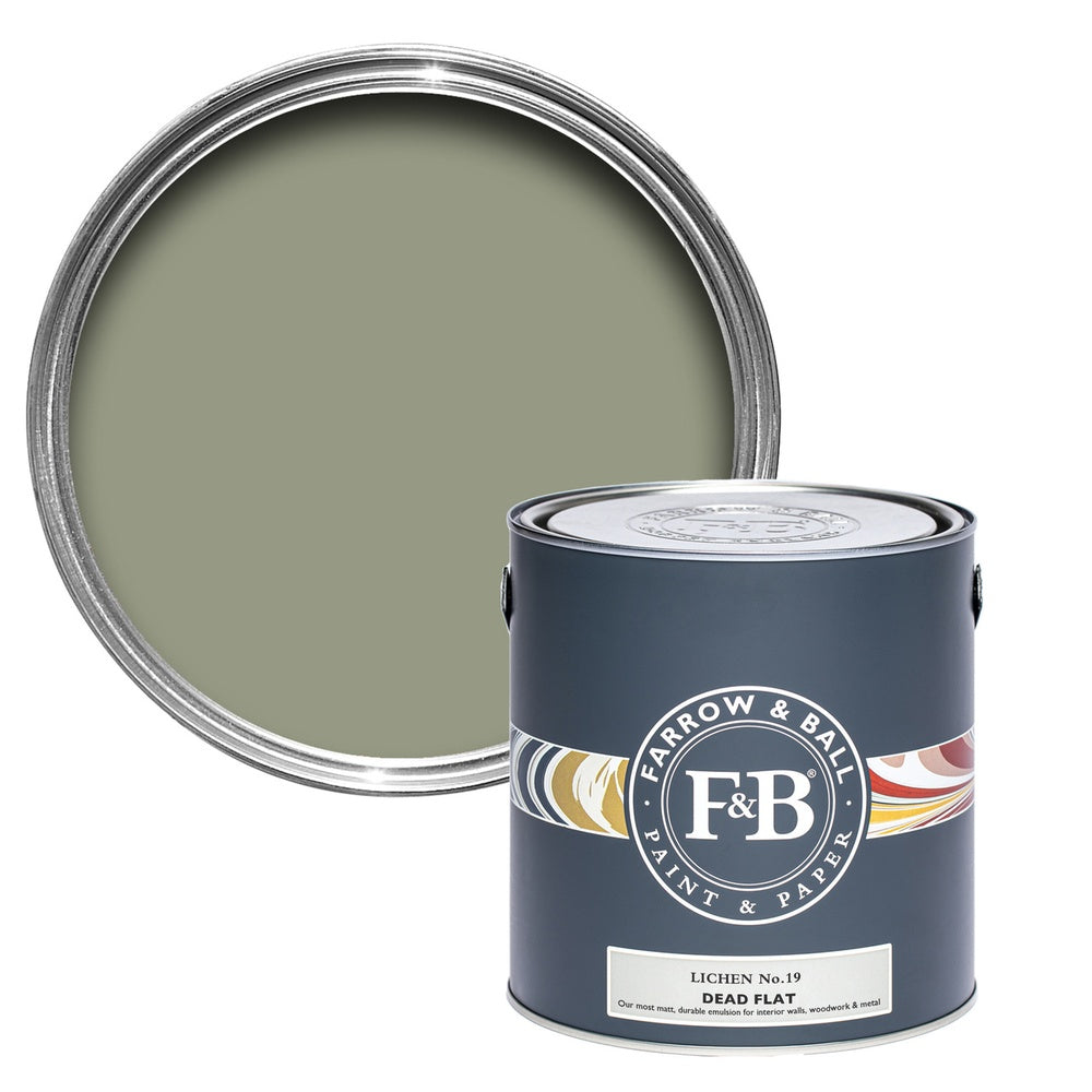 Farrow & Ball Lichen 19 paint tin and colour swatch