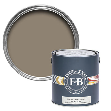 Farrow & Ball Mouse's Back 40