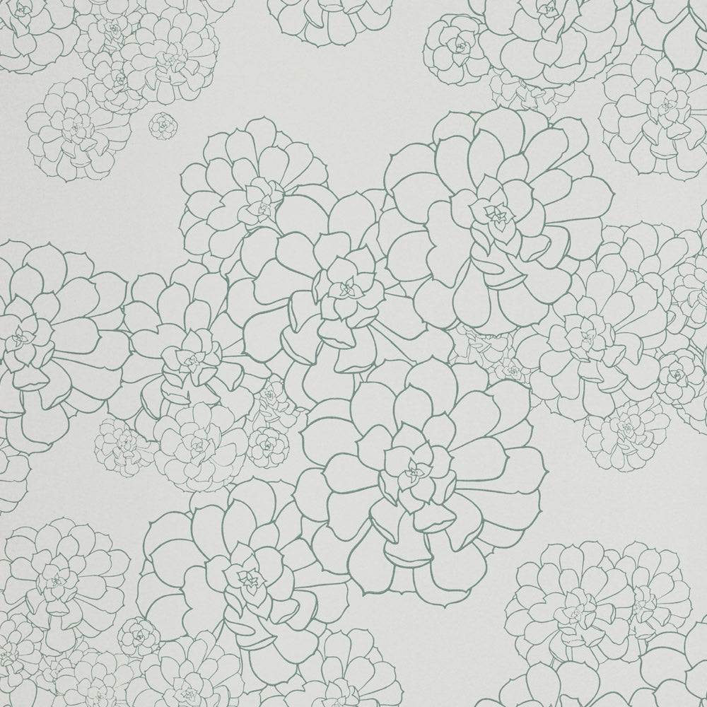 Paint & Paper Library Aeonium Blue Gum wallpaper swatch
