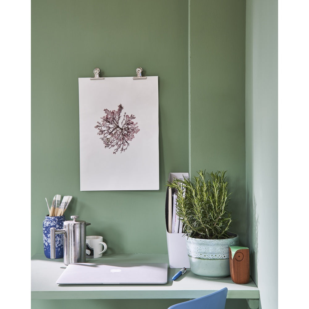 Farrow & Ball Breakfast Room Green No.81 paint in a lifestyle setting