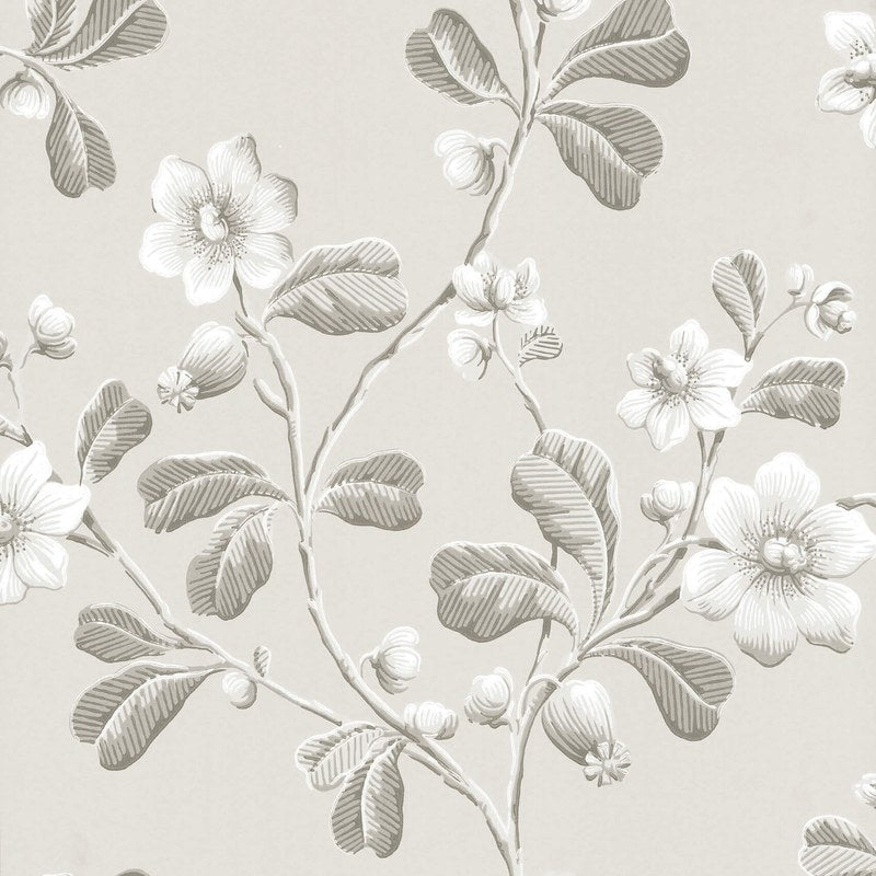Little Greene Broadwick St wallpaper in Pitch