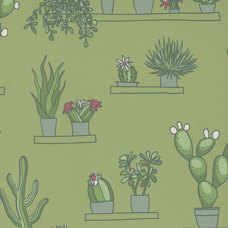Little Greene Mr Straw’s Greenhouse wallpaper in Garden