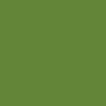 Little Greene Sage & Onions 288