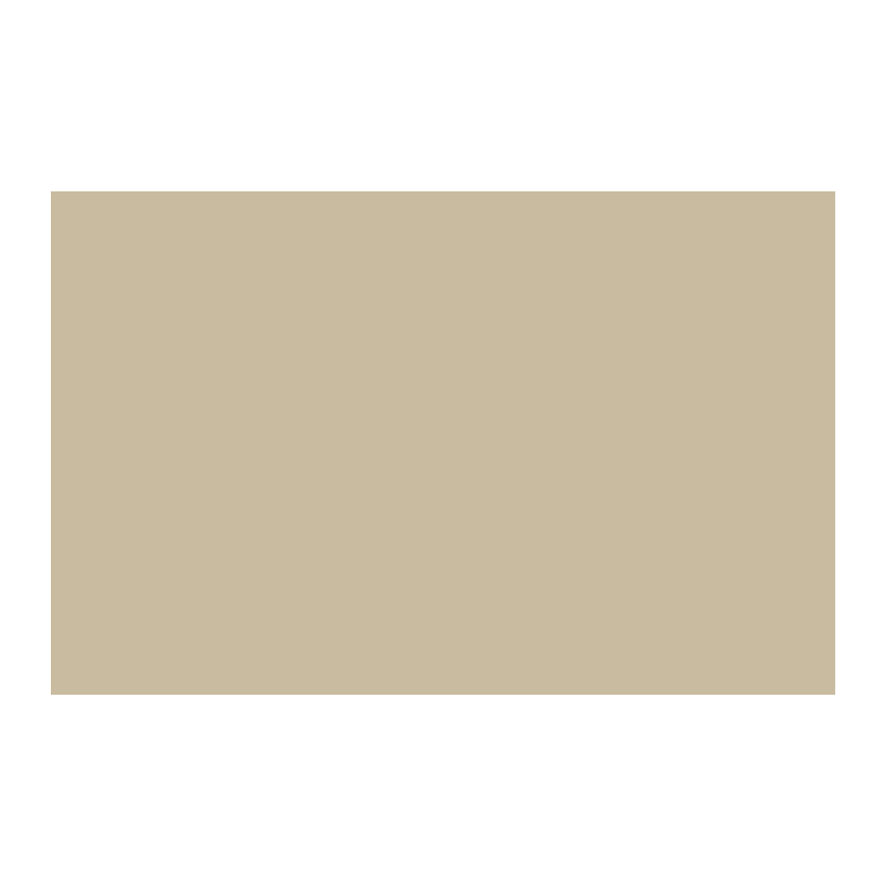 Paint & Paper Library Canvas V 305 colour swatch