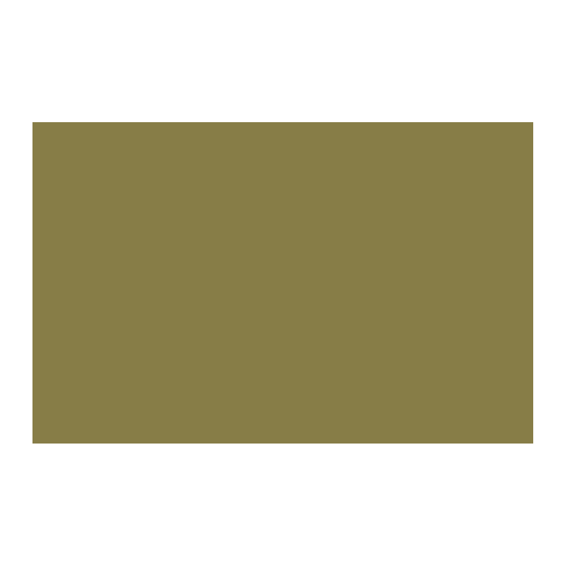 Paint & Paper Library Midelt Sage 711 colour swatch