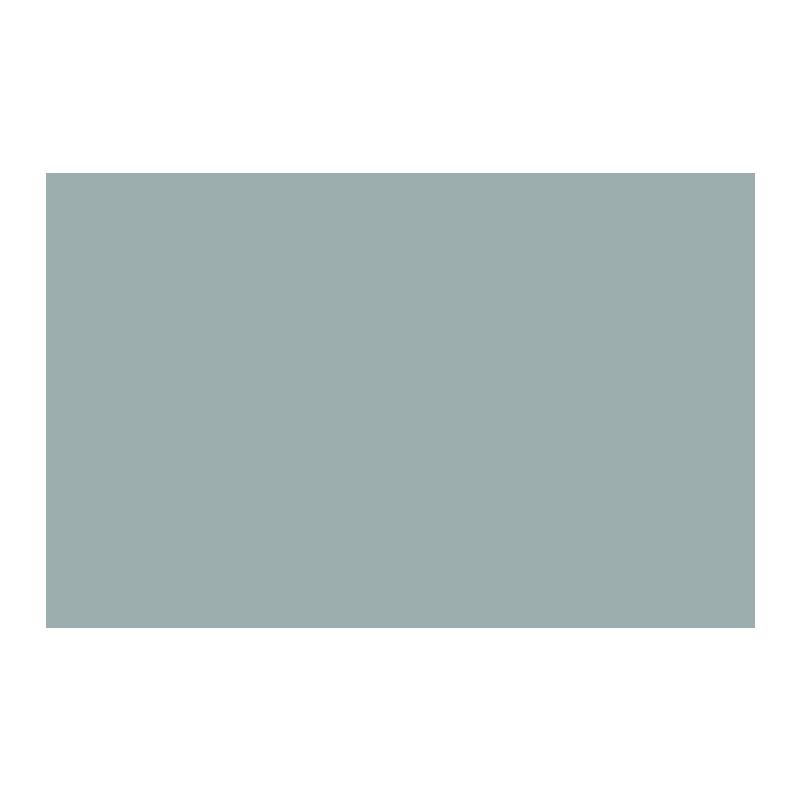 Paint & Paper Library Spruce 690 colour swatch