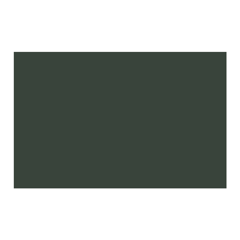 Paint & Paper Library Stable Green 554 colour swatch