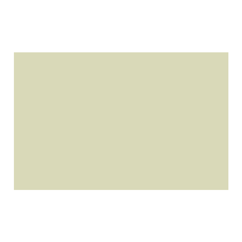Paint & Paper Library Willow IV 534 colour swatch
