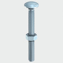 Carriage Bolt&Hex Nut, Bag