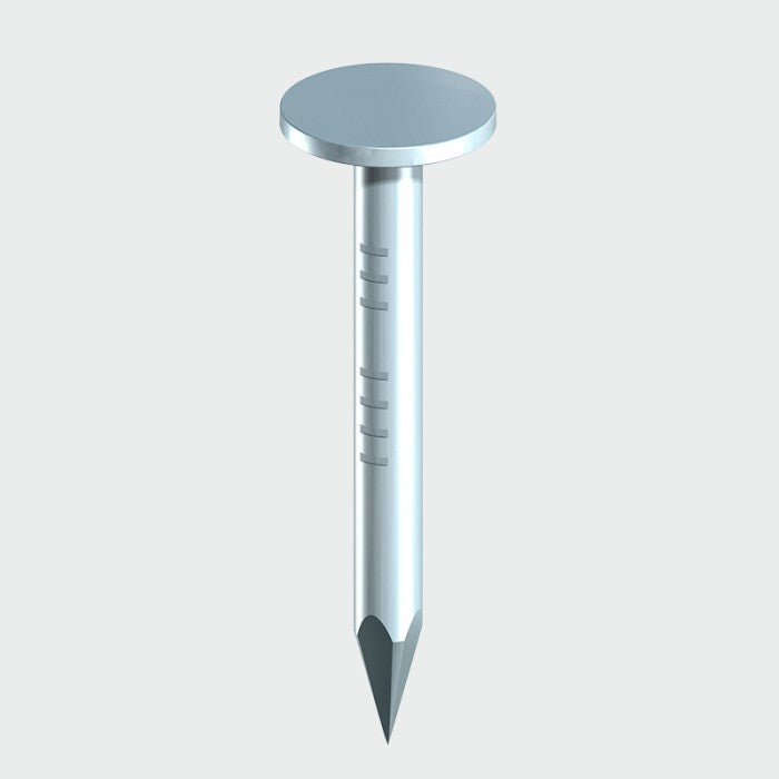 Clout Nails ELH Galvanised 1Kg