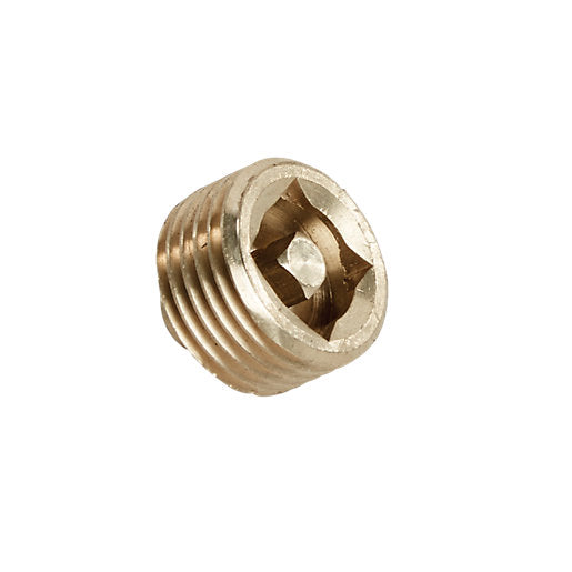 Brass Radiator Vent 1/2"