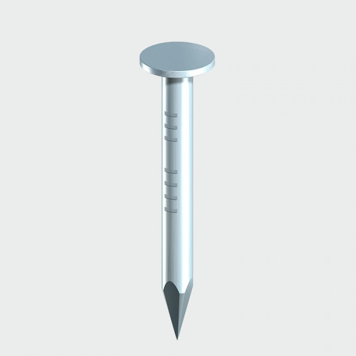 Clout Nails Galvanised 1Kg