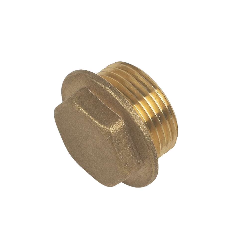 Male Flanged Plug