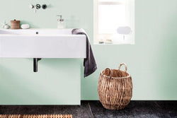 The Best Dulux Paint Colour Schemes For Your Bathroom