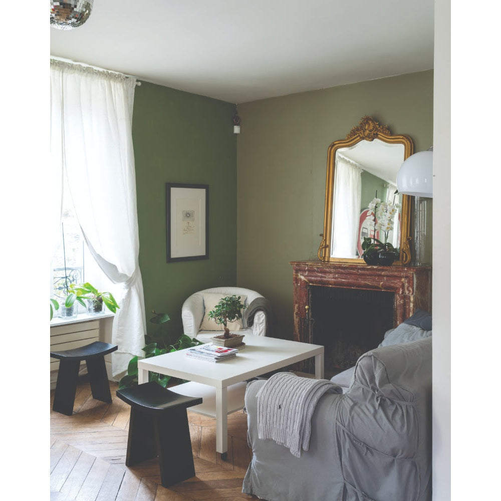 Farrow & Ball Lichen No.19 paint in a lifestyle setting