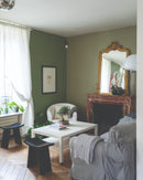 Farrow & Ball Lichen 19