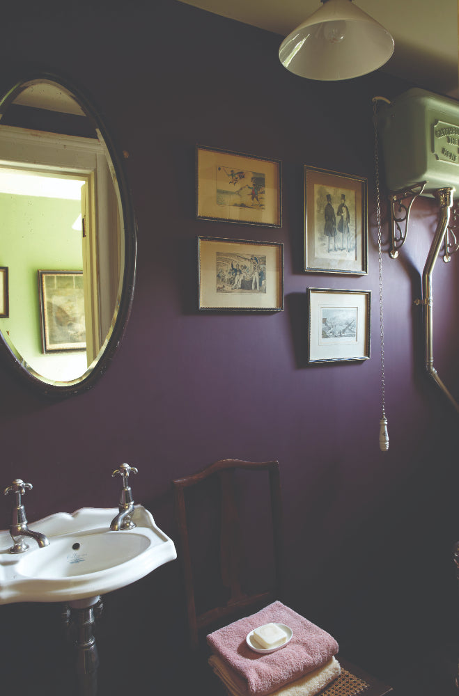 Farrow & Ball Brinjal 222