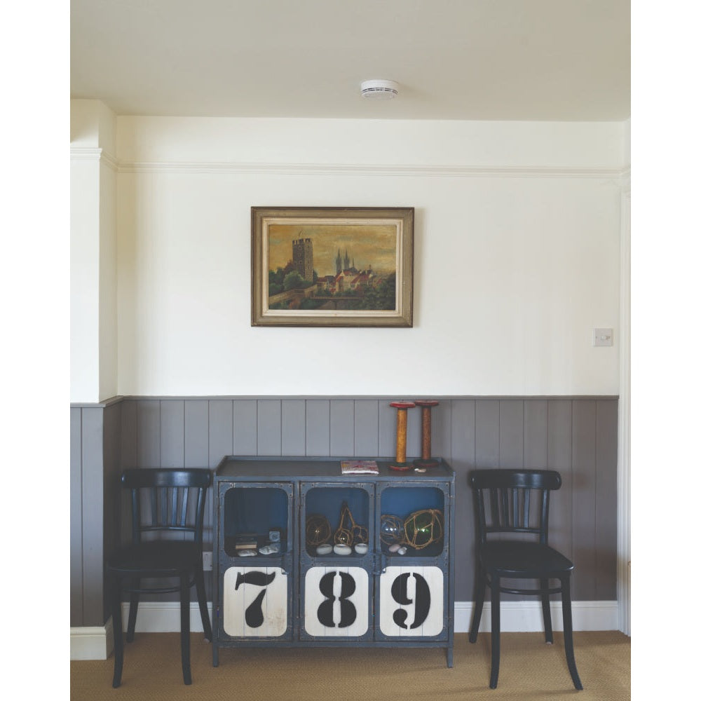 Farrow & Ball Ammonite No.274 paint in a lifestyle setting