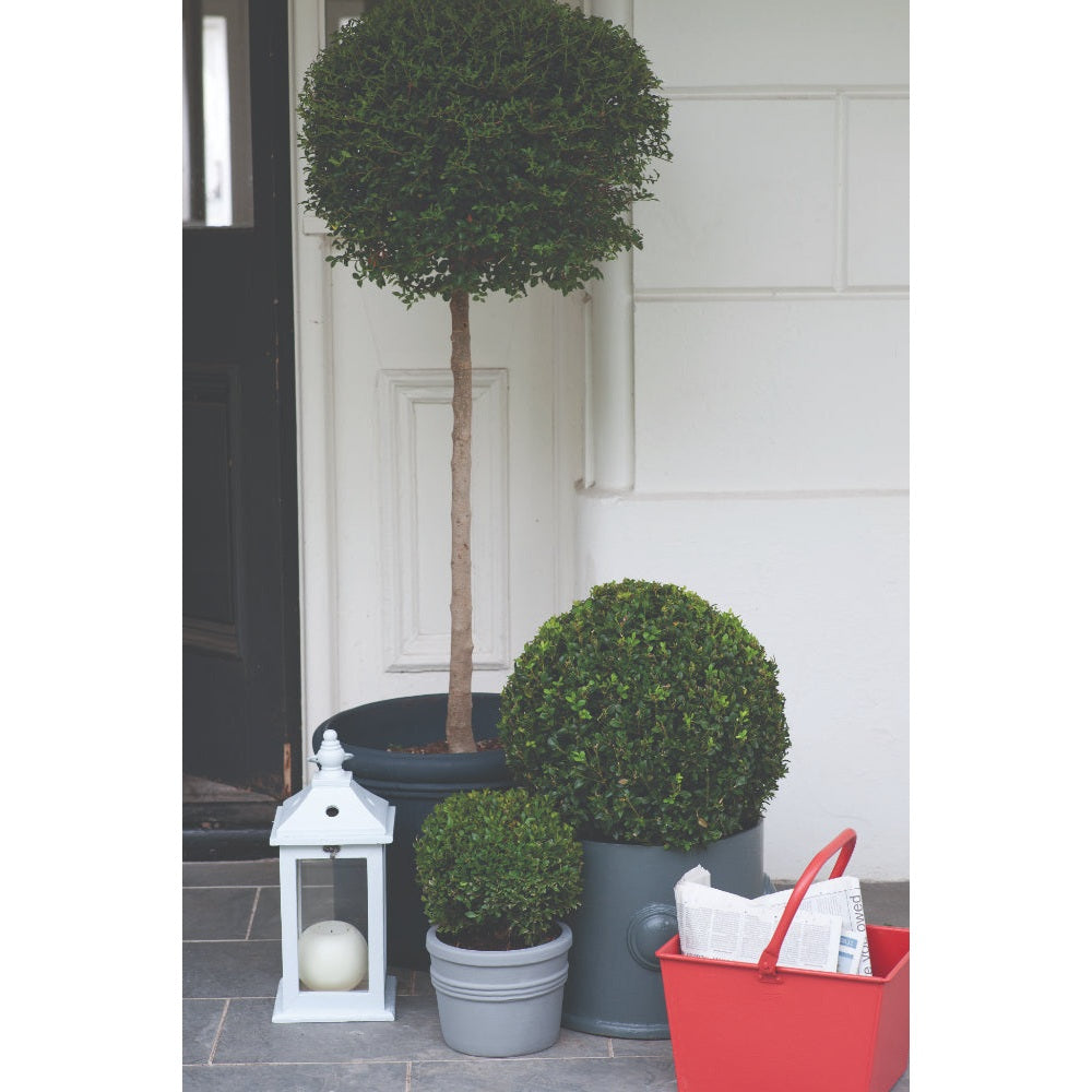Farrow & Ball Manor House Gray No.265 paint in a lifestyle setting
