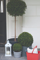 Farrow & Ball Manor House Gray 265