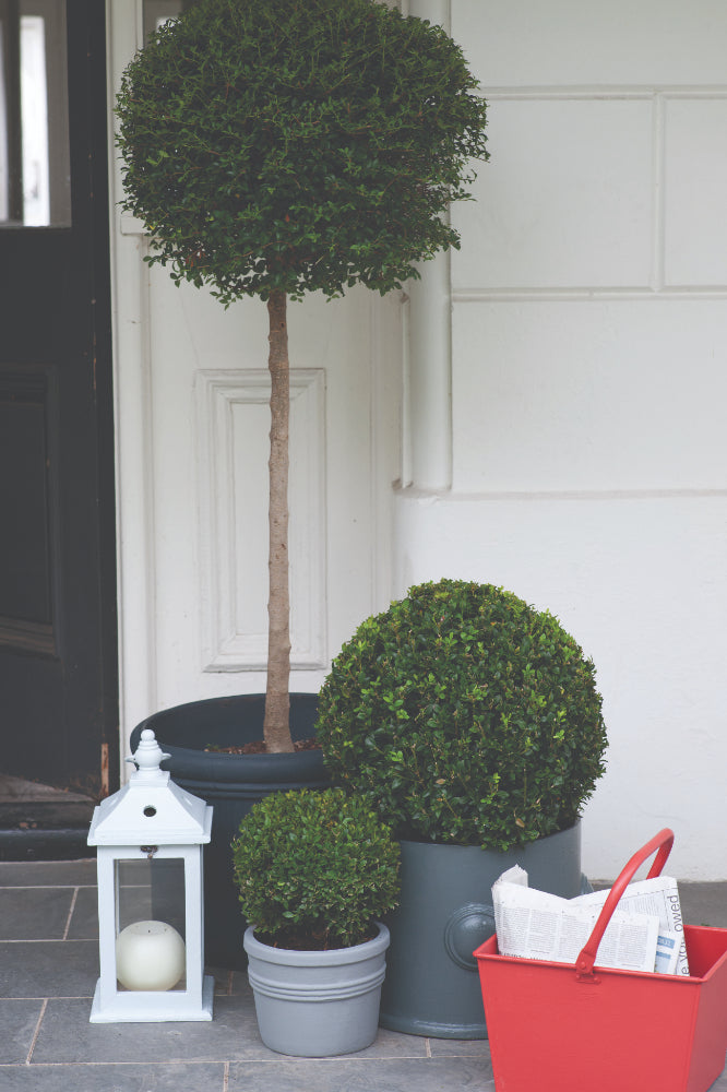 Farrow & Ball Manor House Gray 265