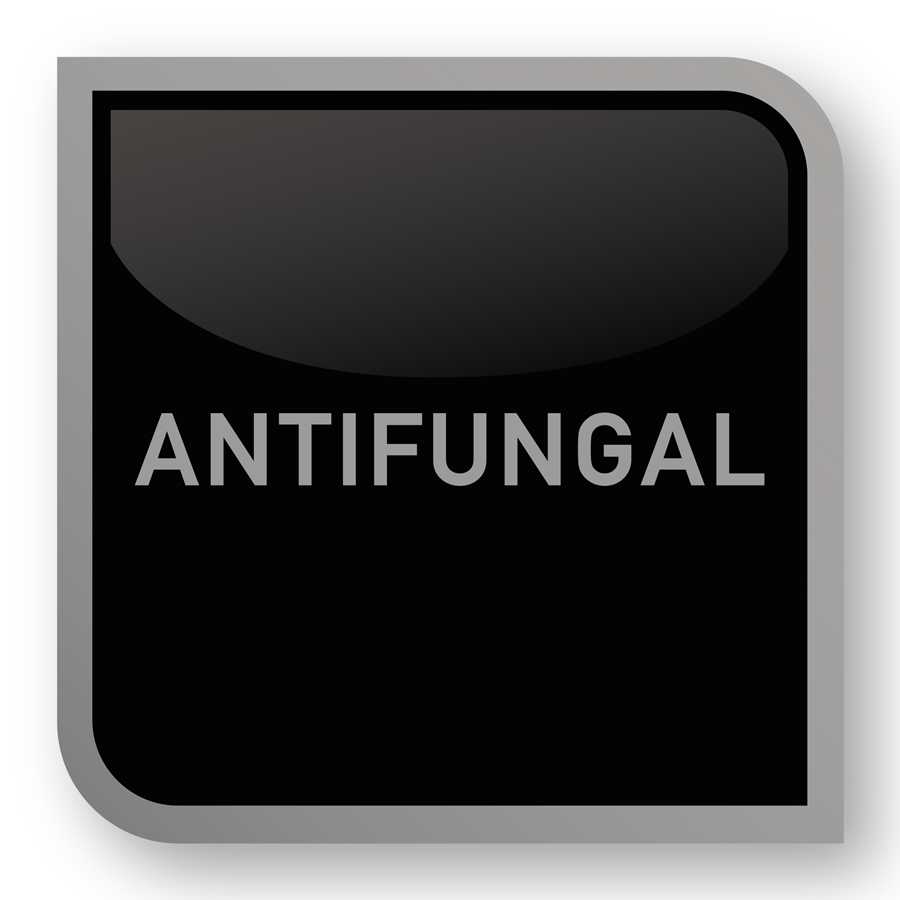 Buy Online at Decor Express, Clapham and Richmond, London