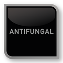 Buy Online at Decor Express, Clapham and Richmond, London