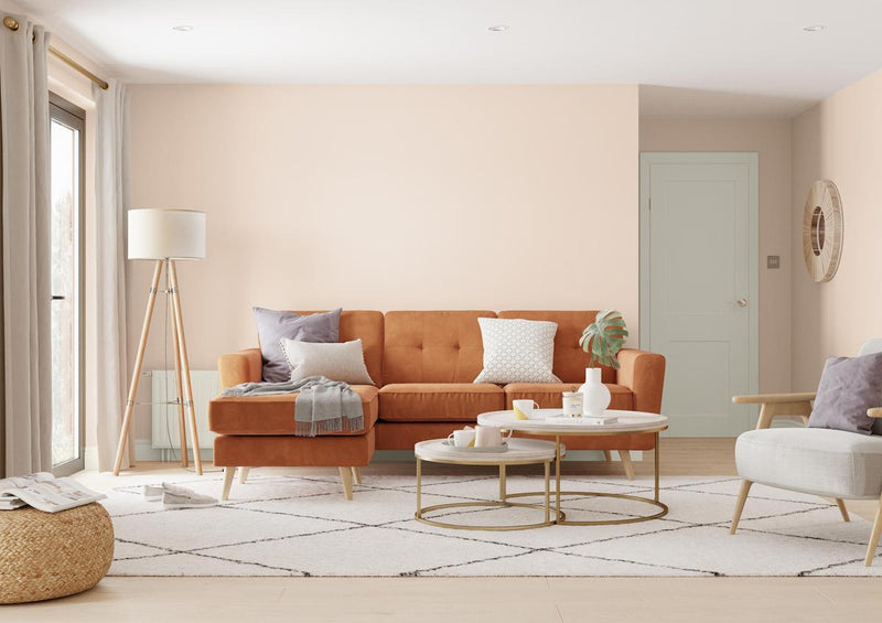 Dulux Roller Tester Soft Peach 30ml