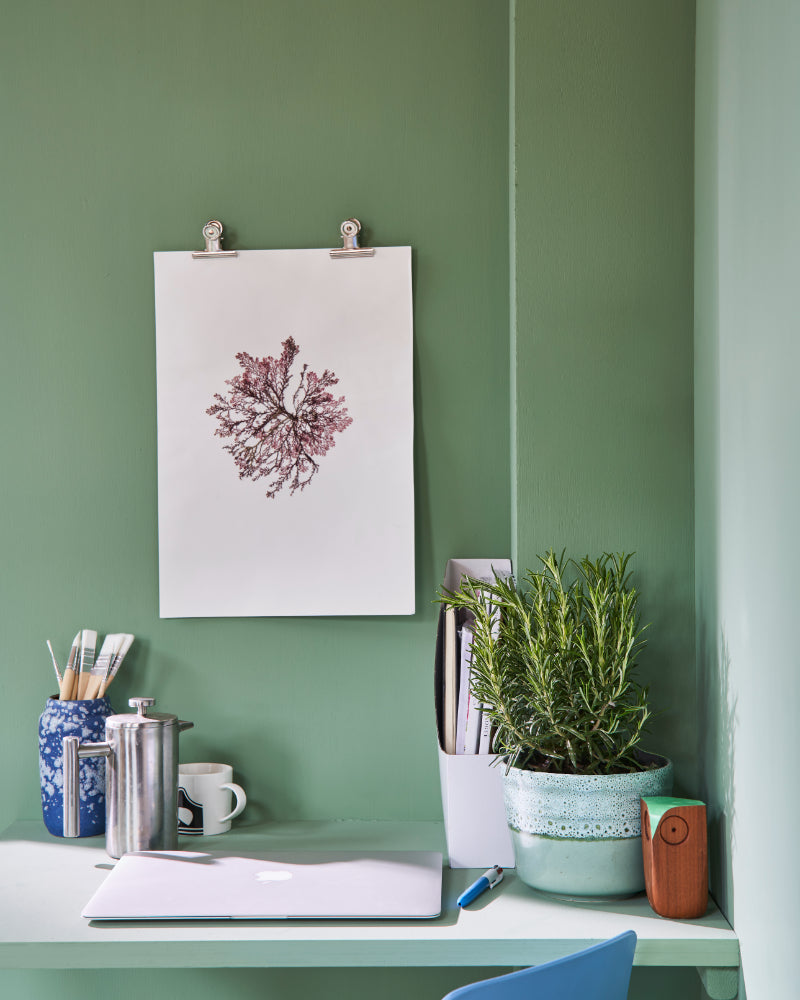Farrow & Ball Breakfast Room Green 81