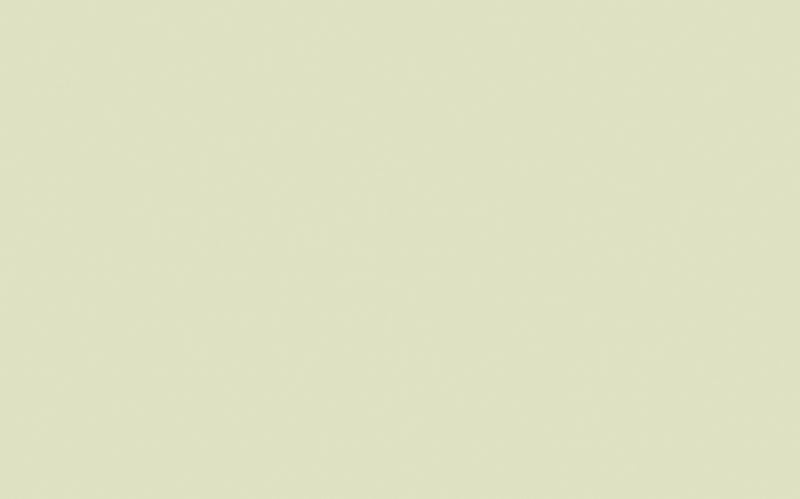 Little Greene Acorn 87 - paint colour from Decor Express