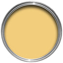Farrow & Ball Citron 74