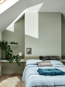 Farrow & Ball Mizzle 266