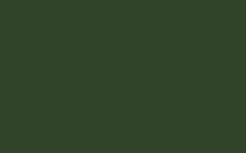Little Greene Dark Brunswick Green 88 - paint colour from Decor Express