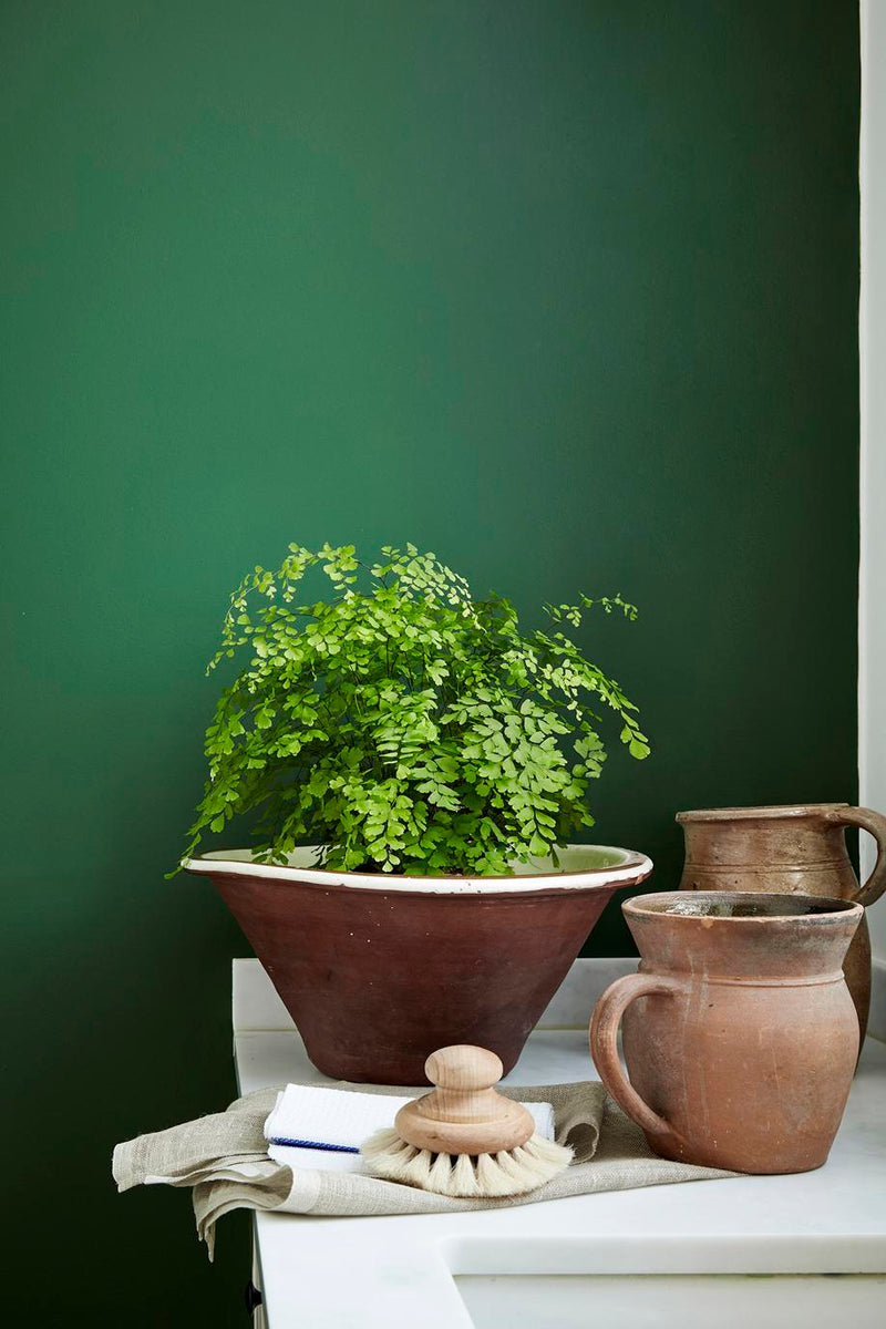 Little Greene Dark Brunswick Green 88