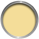 Farrow & Ball Dayroom Yellow 233