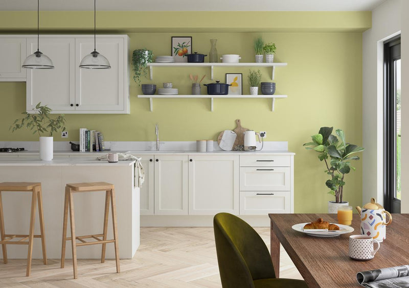 Dulux Roller Tester Melon Sorbet