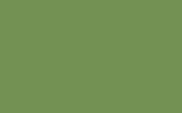 Little Greene Garden 86