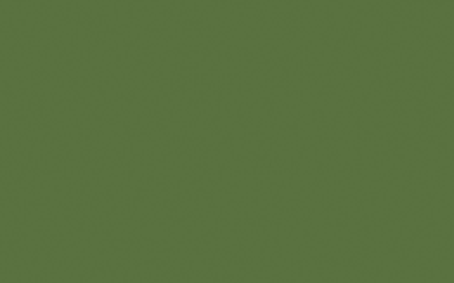 Little Greene Hopper 297 - paint colour from Decor Express