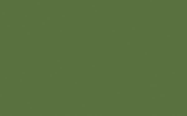 Little Greene Hopper 297 - paint colour from Decor Express