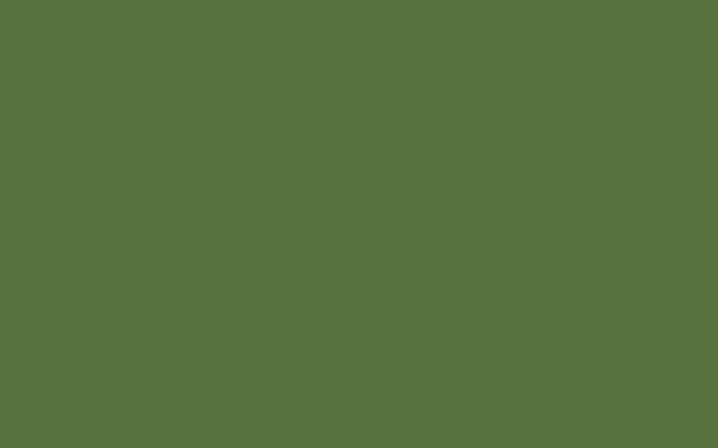 Little Greene Hopper 297 - paint colour from Decor Express