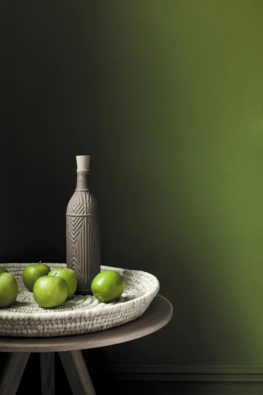 Little Greene Jewel Beetle 303