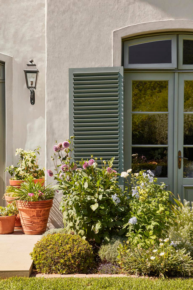 Little Greene Livid 263