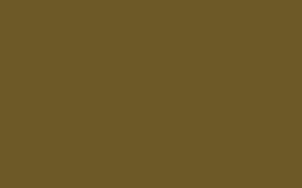 Little Greene Light Bronze Green 123 - paint colour from Decor Express