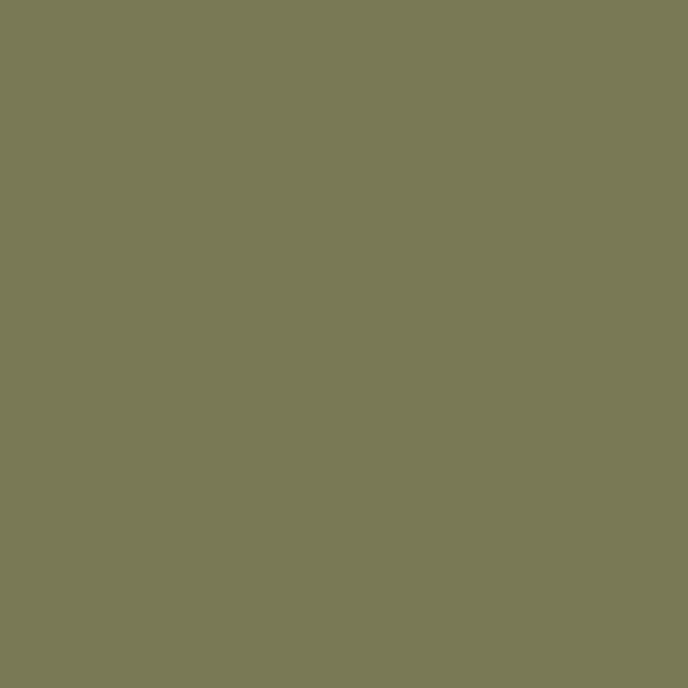 Little Greene Hillside 371 colour swatch