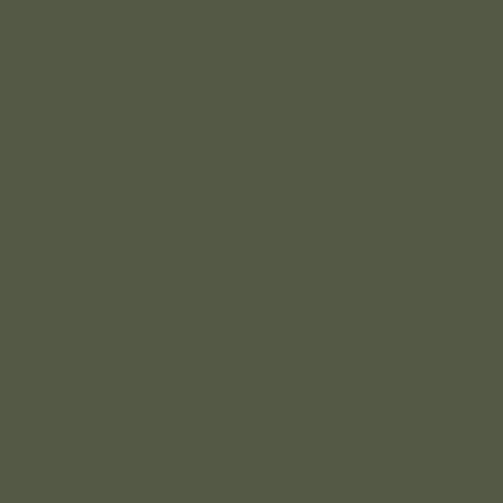 Little Greene Oilcloth 362 colour swatch