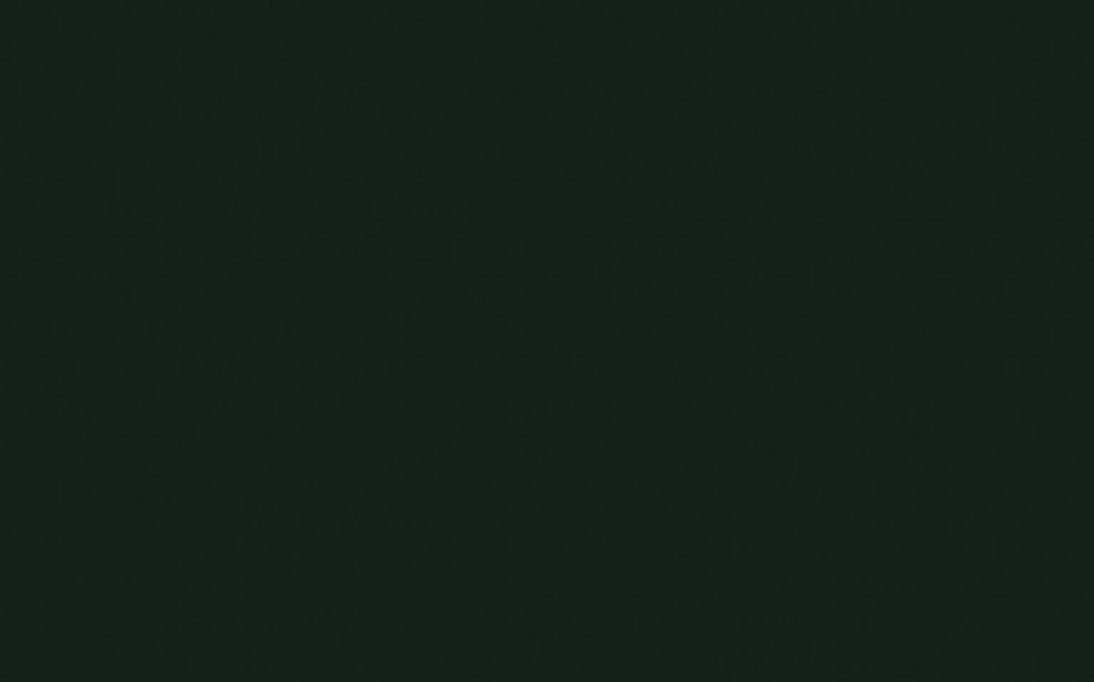 Little Greene Obsidian Green 216 - paint colour from Decor Express