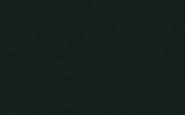 Little Greene Obsidian Green 216 - paint colour from Decor Express