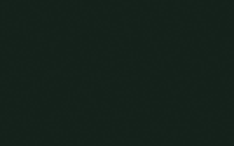 Little Greene Obsidian Green 216 - paint colour from Decor Express